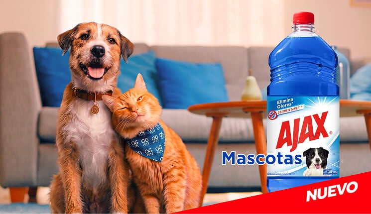 Perro y gato en la sala junto al limpiador desinfectante Ajax Mascotas que elimina olores.