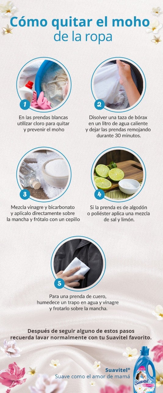 Quitar moho de la ropa