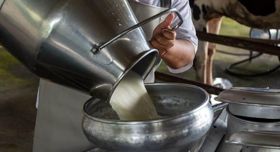 Proceso para pasteurizar la leche en casa