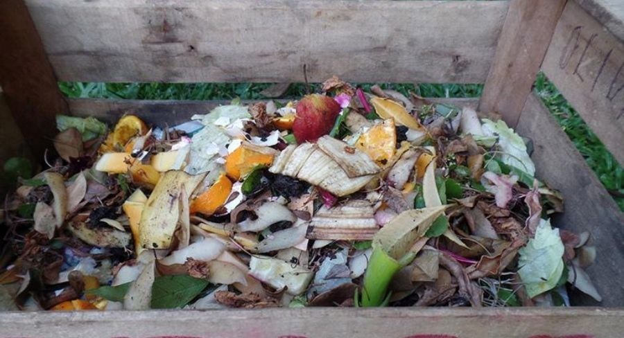 Cómo hacer una composta casera, manualidades paso a paso