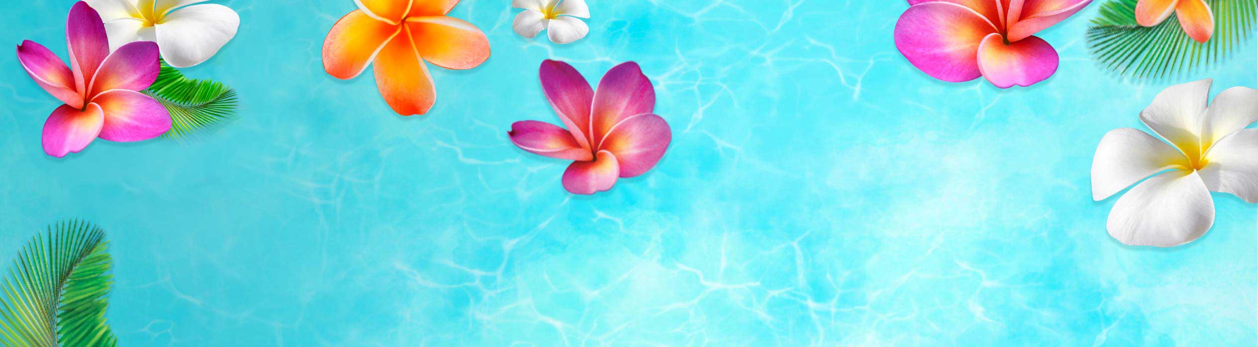 Fabuloso® Ocean Paradise | Tu Hogar Jamaica