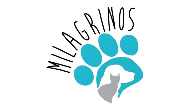 Fundación Refugio Milagrinos