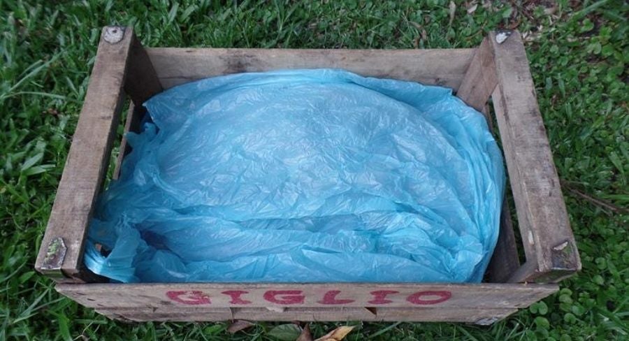 Cómo hacer una composta casera, manualidades paso a paso