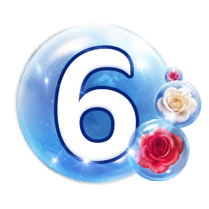 Paso número 6