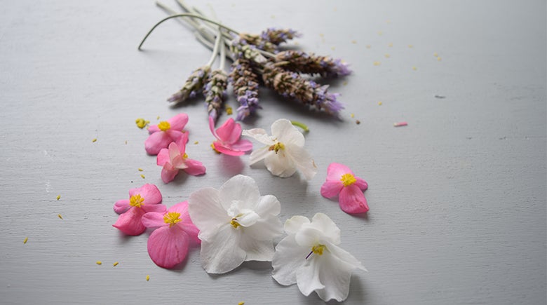 Flores comestibles ideales para disfrutar esta primavera