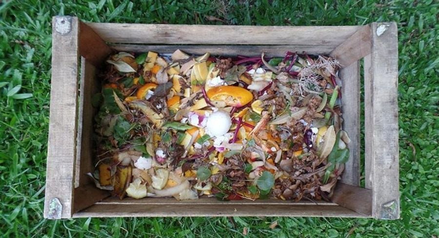 Cómo hacer una composta casera, manualidades paso a paso