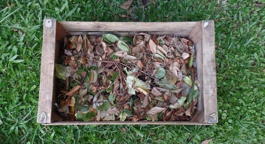 Cómo hacer una composta casera, manualidades paso a paso