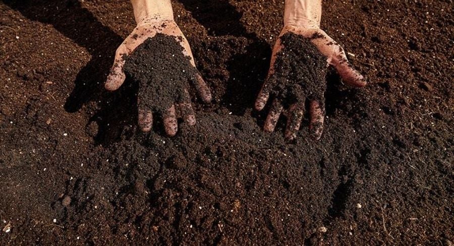 Huerta casera: elegir buena tierra
