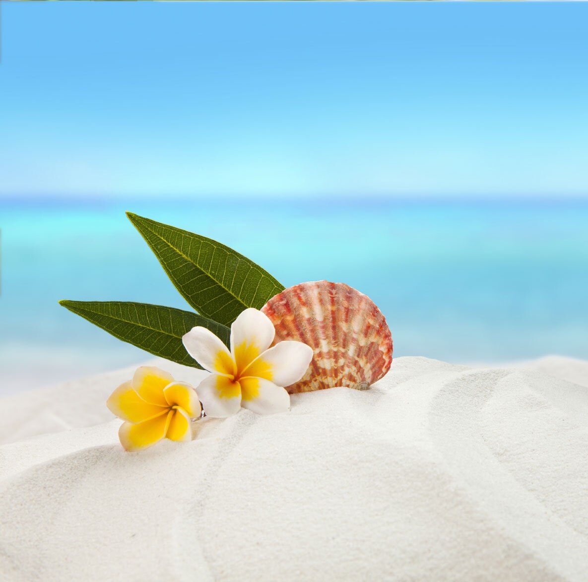 Fabuloso® Ocean Paradise