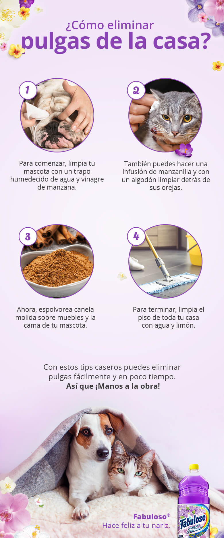 Cómo eliminar pulgas en casa. Trucos y cómo prevenirlas.