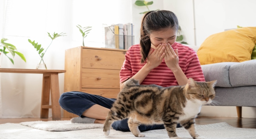 Quita el olor a orina de gato con Fabuloso