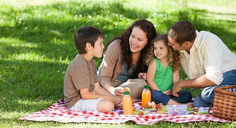 familia en un picnic