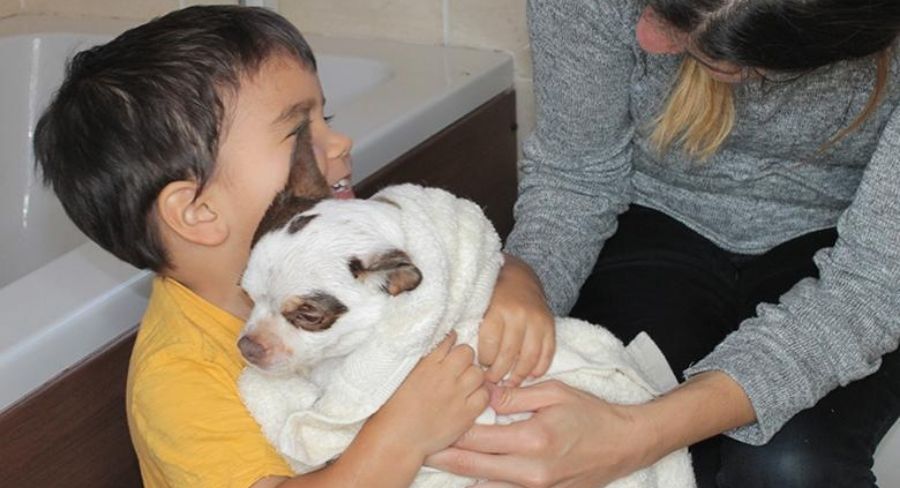 Niño abrazando tu mascota