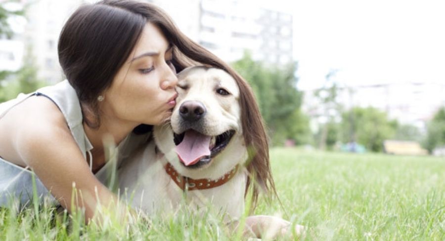 Ventajas de tener mascota en casa: nos permiten desplegar nuestra capacidad amorosa y cariño