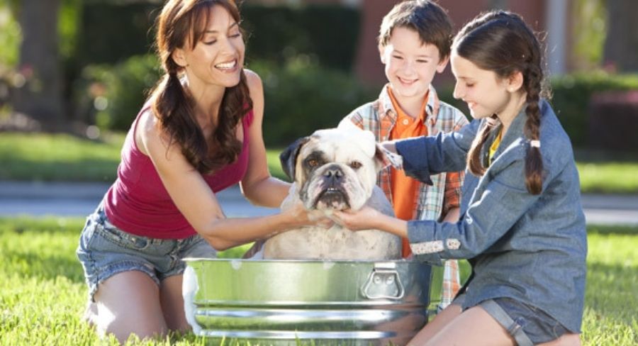 Madre e hijos bañando a su perro mascota