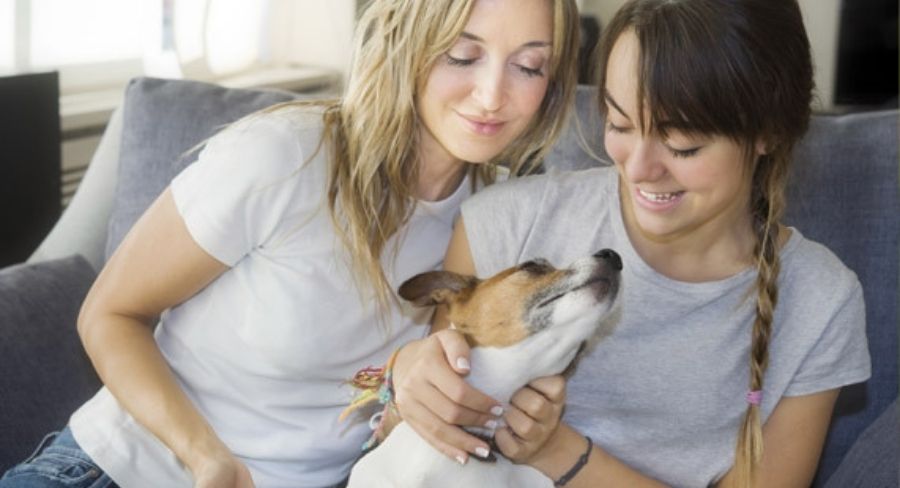 Ventajas de tener mascota en casa: propicia un ambiente más relajado y desestresado en el hogar