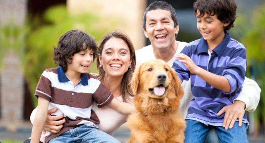Ventajas de tener mascota en casa: acerca a toda la familia, mejorando la comunicación y convivencia