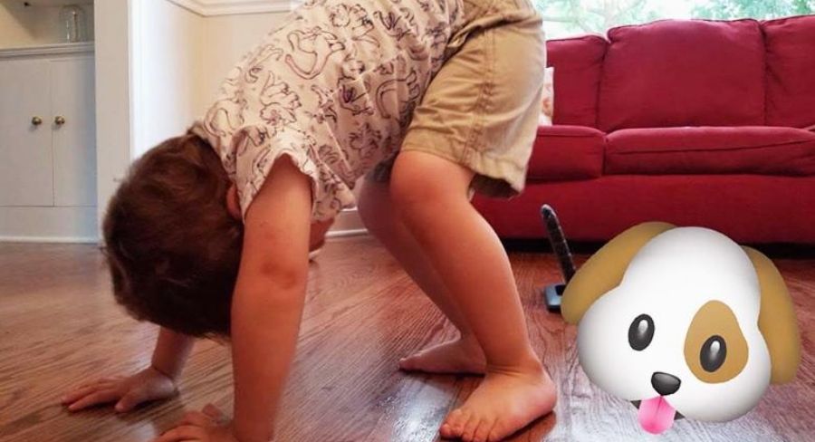 Yoga para niños en 5 sencillos movimientos: Como un perro
