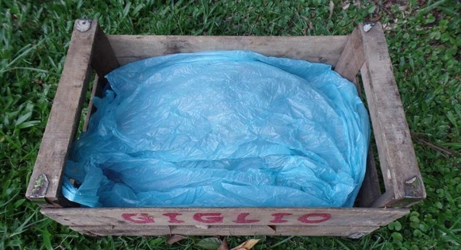 Cubirir la compostera con una bolsa de plástico