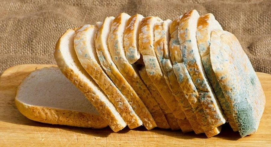 cómo evitar el moho y levaduras en los alimentos