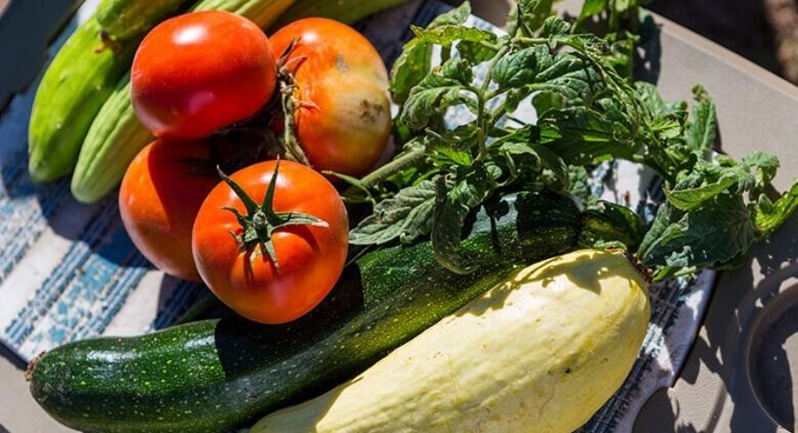 Vegetales frescos