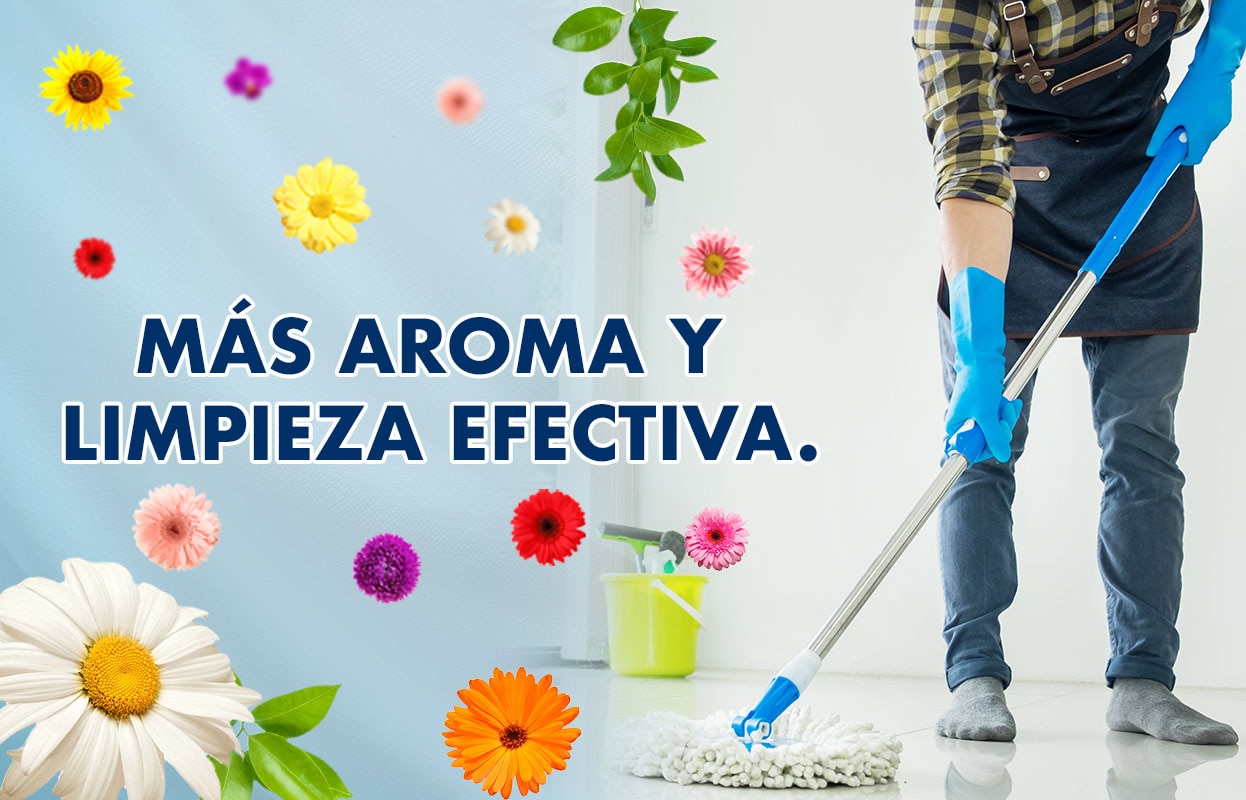 Limpia y desinfecta todas las superficies de tu casa y disfruta de un ambiente fresco y seguro en compañía de tu familia