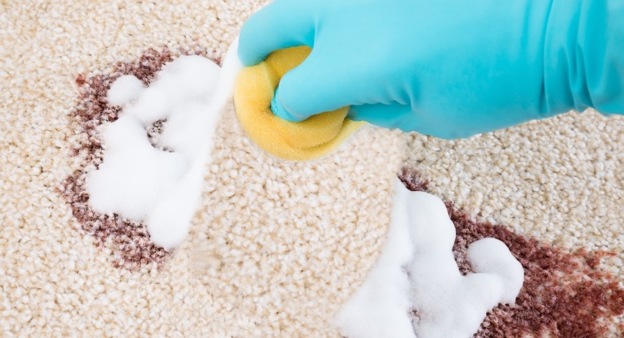 proceso de limpieza de alfombra con esponja y jabón