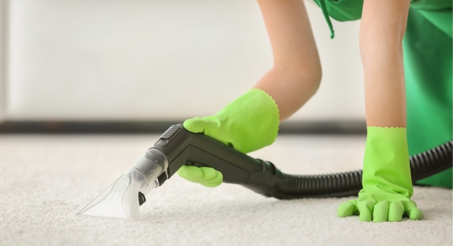 persona limpiando la alfombra con aspiradora de vapor