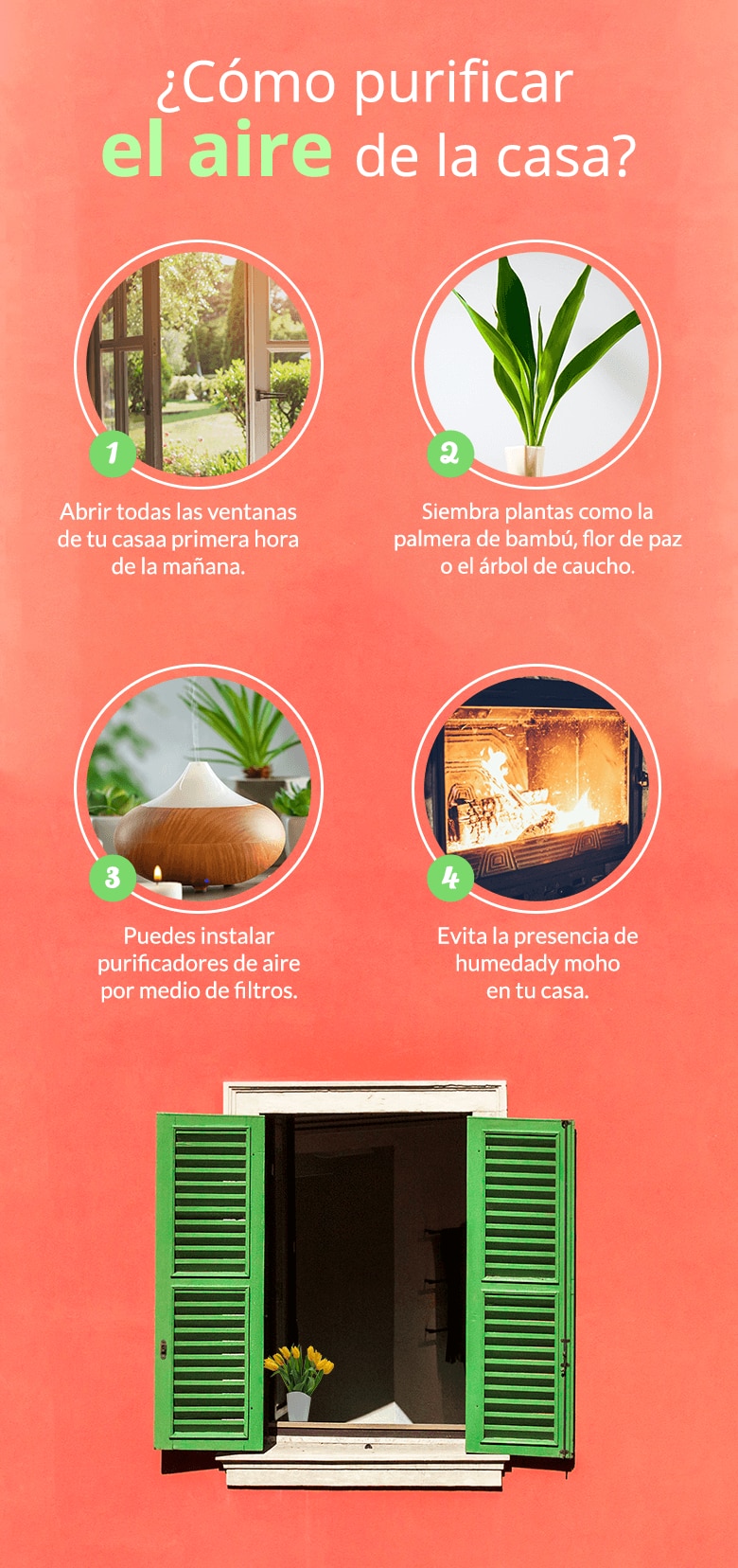 Cómo purificar al aire en casa