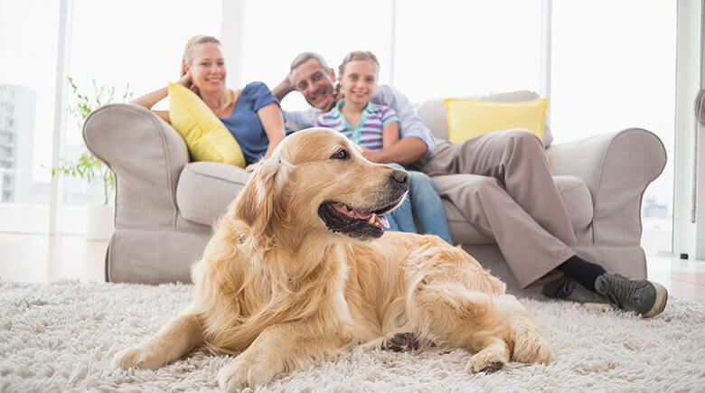 familia feliz con su mascota limpia