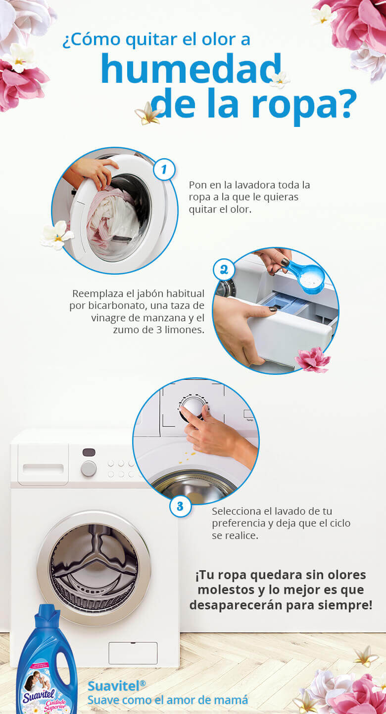 infografía cómo quitar el olor a humedad de la ropa