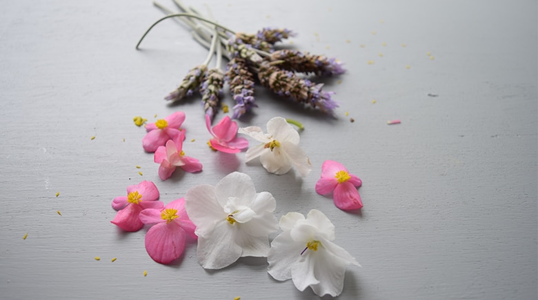 Flores comestibles ideales para disfrutar esta primavera