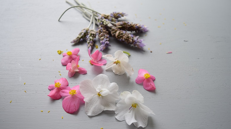 FLORES COMESTIBLES (Pétalos que se comen y se utilizan para