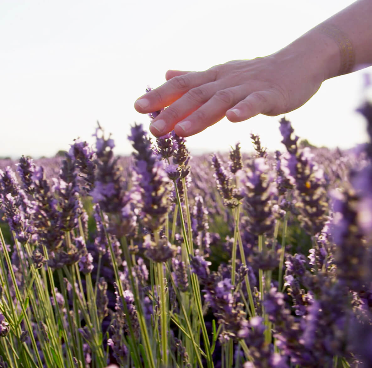 Con partículas activas y fragancia concentrada. Más aroma y limpieza efectiva.