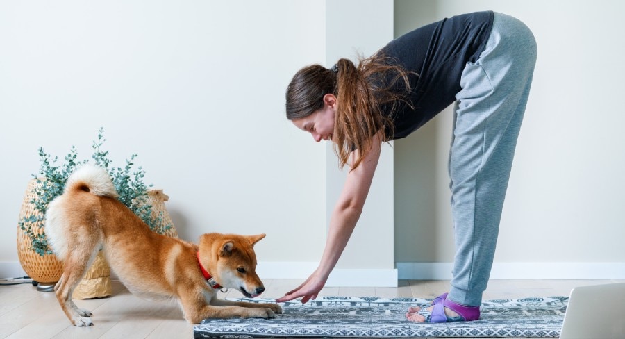 mujer practicando yoga en casa con su perro