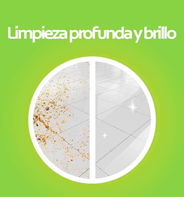 limpieza profunda y brillo