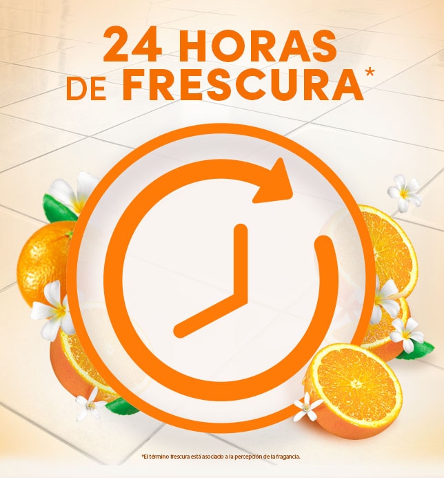 24 horas de frescura