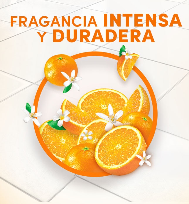 Fragancia intensa y duradera