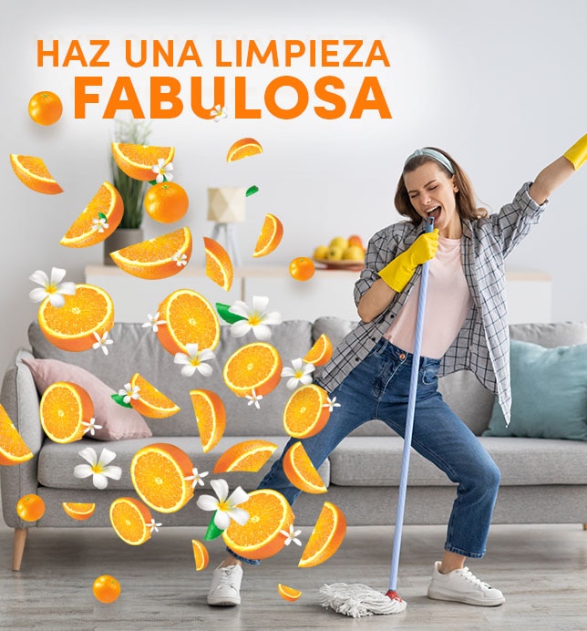 Haz una limpieza fabulosa 