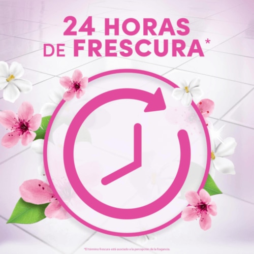 24 horas de frescura