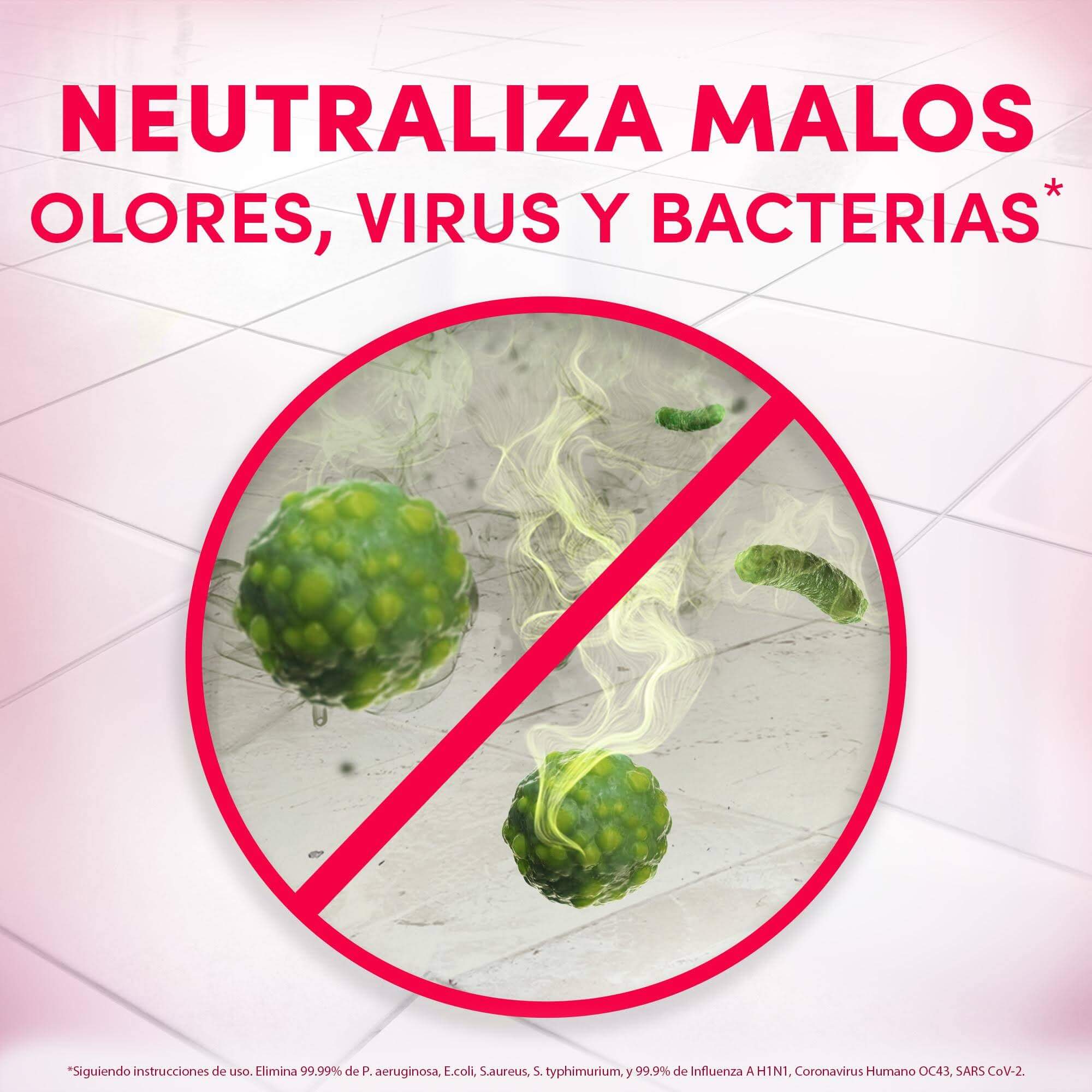 Neutraliza malos olores, virus y bacterias Fabuloso Floral 