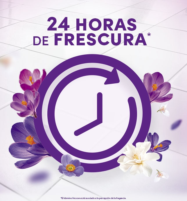 24 horas de frescura