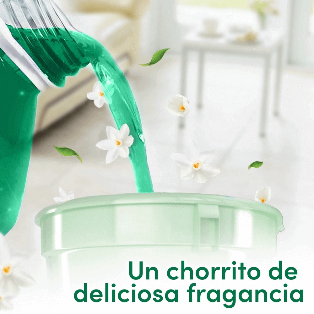 Fabuloso Fresco Amanecer