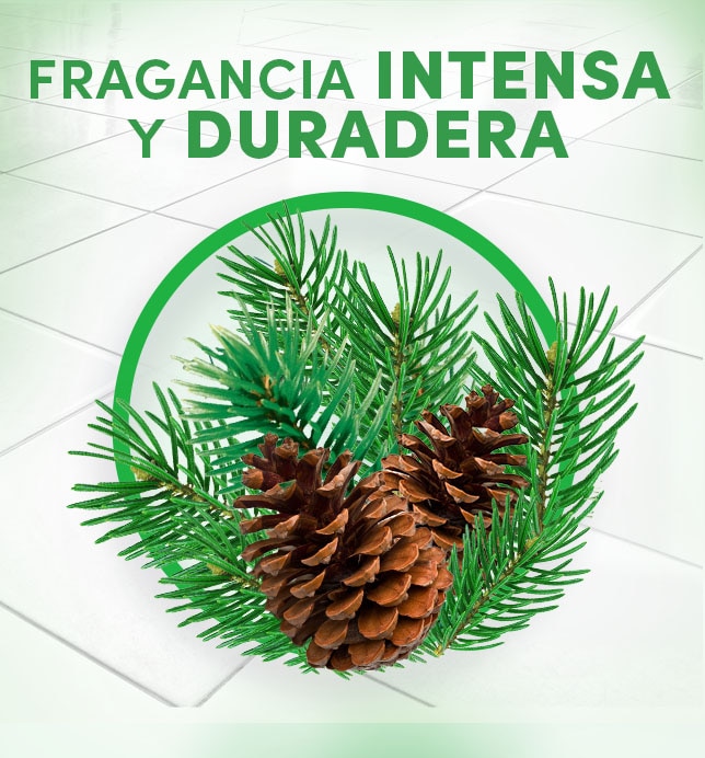 Fragancia Intensa Fabuloso Fresco Amanecer