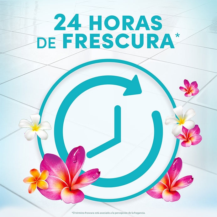 24 horas de frescura