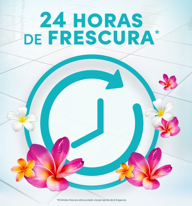 24 horas de frescura