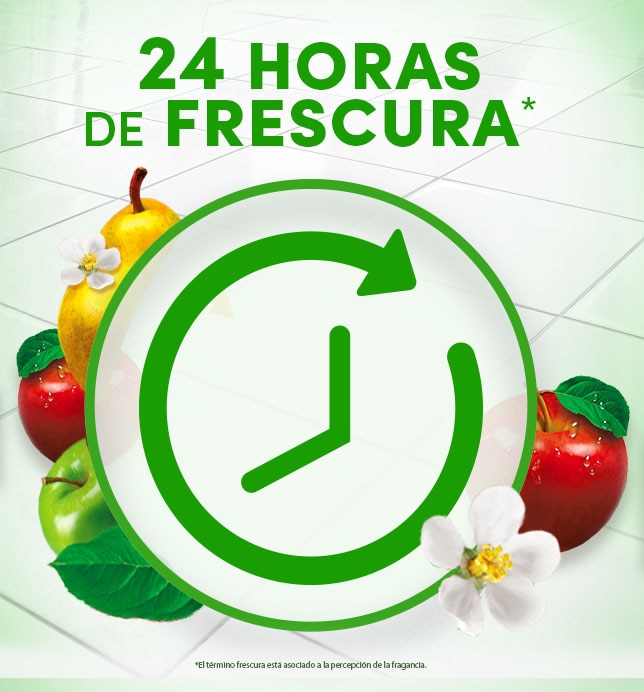 24 horas de frescura
