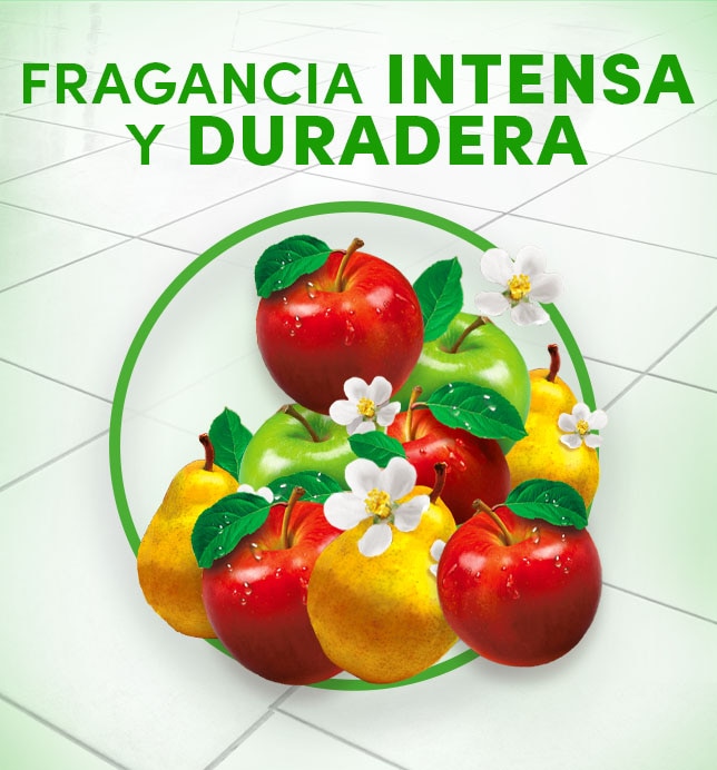 Fragancia intensa y duradera