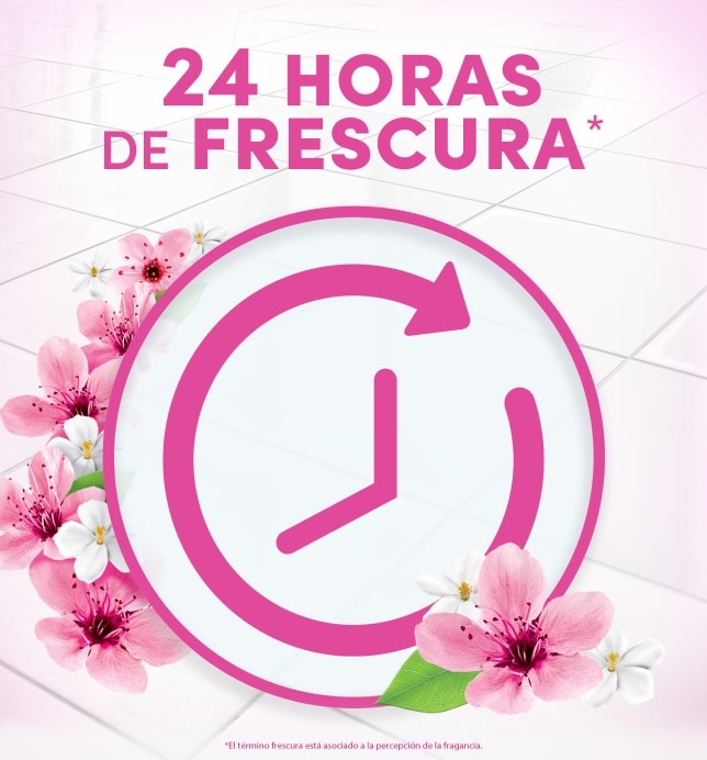 24 horas de frescura