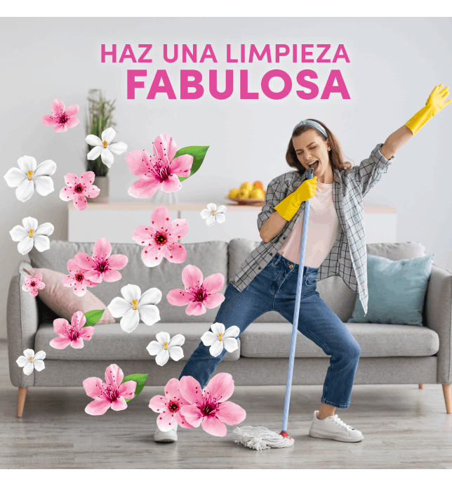 Haz una limpieza fabulosa 